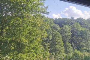 Maklerfrei   Ein Bungalow in Berg. Neukirchen, in absolut traumhafter, unverbaubarer Lage – Flabbenhäuschen 15, 51381 Bergisch Neukirchen, Leverkusen – Vorschaubild 7