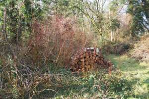 Property thumbnail 9