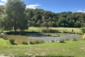 Naturidylle in Alleinlage, 4,7 ha – 55481 Kirchberg im Wald – Vorschaubild 27