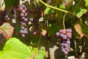 Property thumbnail 20