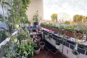 Property thumbnail 5