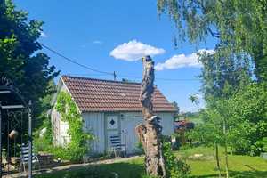 Landhaus klein und fein sucht Gartenliebhaber. – Augsburg – Vorschaubild 17
