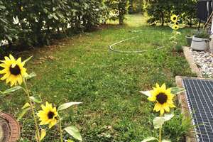 Familienglück * Hirschgarten Palais * Nymphenburg * 3 Zi. * 103 m² – Engasserbogen 4, 80639 Nymphenburg, München – Vorschaubild 9