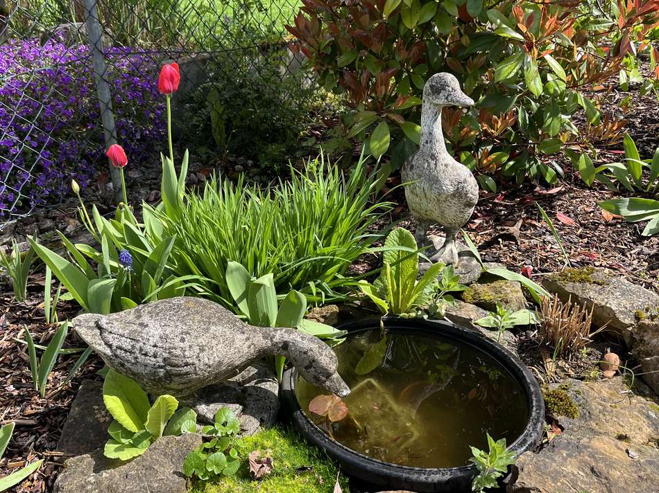 Garten (2)