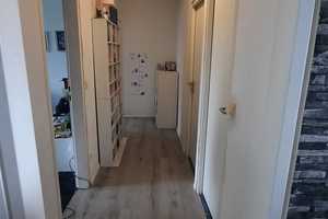 Freundliche moderne und frisch renovierte 3-Zimmer-Wohnung mit Balkon im grünen Wolfsburg-Westhagen  – Halberstädter Straße 11, 38444 Wolfsburg – Vorschaubild 4