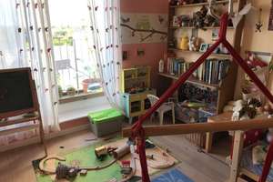 Penthouse mit 4 Zimmern in Hamburg-Lokstedt – Grandweg 130, 22529 Lokstedt, Hamburg – Vorschaubild 11