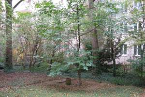 Property thumbnail 15