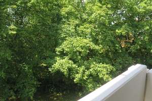 Alltagstaugliche 3-Zimmer-Wohnung mit Balkon in Obermenzing – Mooswiesenstraße 5, 81379 Obermenzing, München – Vorschaubild 51