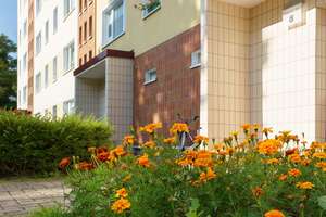 2-Zimmerwohnung Rostock – Rügener Str.  3, 18107 Lütten Klein, Rostock – Vorschaubild 3