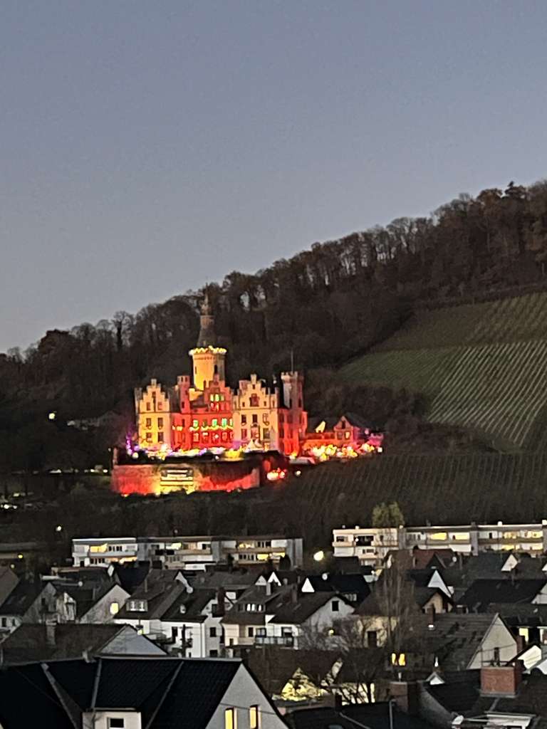 Immobilie in Bad Hönningen - Panorama Rheinblick 1-Zimmer Apartment in Bad Hönningen - Bild 2