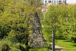 EINZIGARTIGES, SONNIGES PENTHAUS IN GRÜNER UMGEBUNG - 5 MIN VON UNI/-KLINIK & BAHNHOF (EINZUG FLEX.) – Untere Zahlbacher Straße 4-6c, 55131 Oberstadt, Mainz – Vorschaubild 33