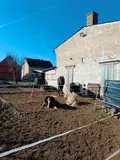 Weidefläche für die Pferdehaltung