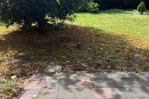 histrorisches  Einfamilienhaus - Perfekt als Mehrgenerationshaus - mit großem Garten in Duisburg – Schulte-Marxloh-Str. 9, 47168 Marxloh, Duisburg – Vorschaubild 38