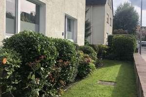 Gepflegte 2-Zimmer-Wohnung in Bielefeld – Wilbrandstraße 77, 33604 Mitte, Bielefeld – Vorschaubild 9