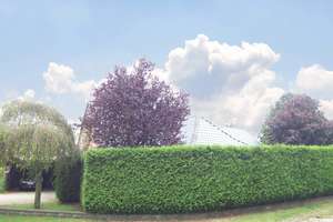Großzügiges Familienhaus mit Charme, Garten und Kamin – mitten in Haren – Die vollständige Adresse der Immobilie erhältst du vom Anbieter., 49733 Haren (Ems) – Vorschaubild 10
