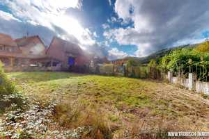 Historisches Fachwerkhaus mit großer Scheune, Innenhof und Garten – Ortsstraße 52, 76891 Südwestpfalz (Kreis) – Vorschaubild 37