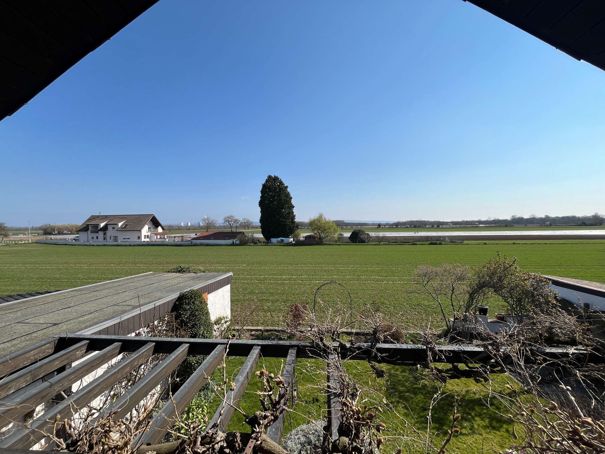 Immobilie in Neuhofen - Freistehendes Einfamilienhaus in 67141 Neuhofen - Bild 3