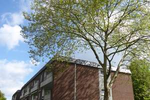 Wohnen mit Charakter: maklerfreie 2-Zimmer-Wohnung in Bonn-Endenich – Die vollständige Adresse der Immobilie erhältst du vom Anbieter., 53121 Endenich, Bonn – Vorschaubild 3