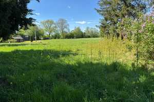 Haus im Grünen mit 3000m² Grundstück und Einliegerwohnung – Stormarn (Kreis) – Vorschaubild 4