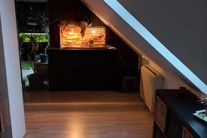 Interessante Dachgeschosswohnung in unmittelbarer Nähe zur Rheinpromenade – Nürnberger Str. 16, 47249 Wanheim-Angerhausen, Duisburg – Vorschaubild 33