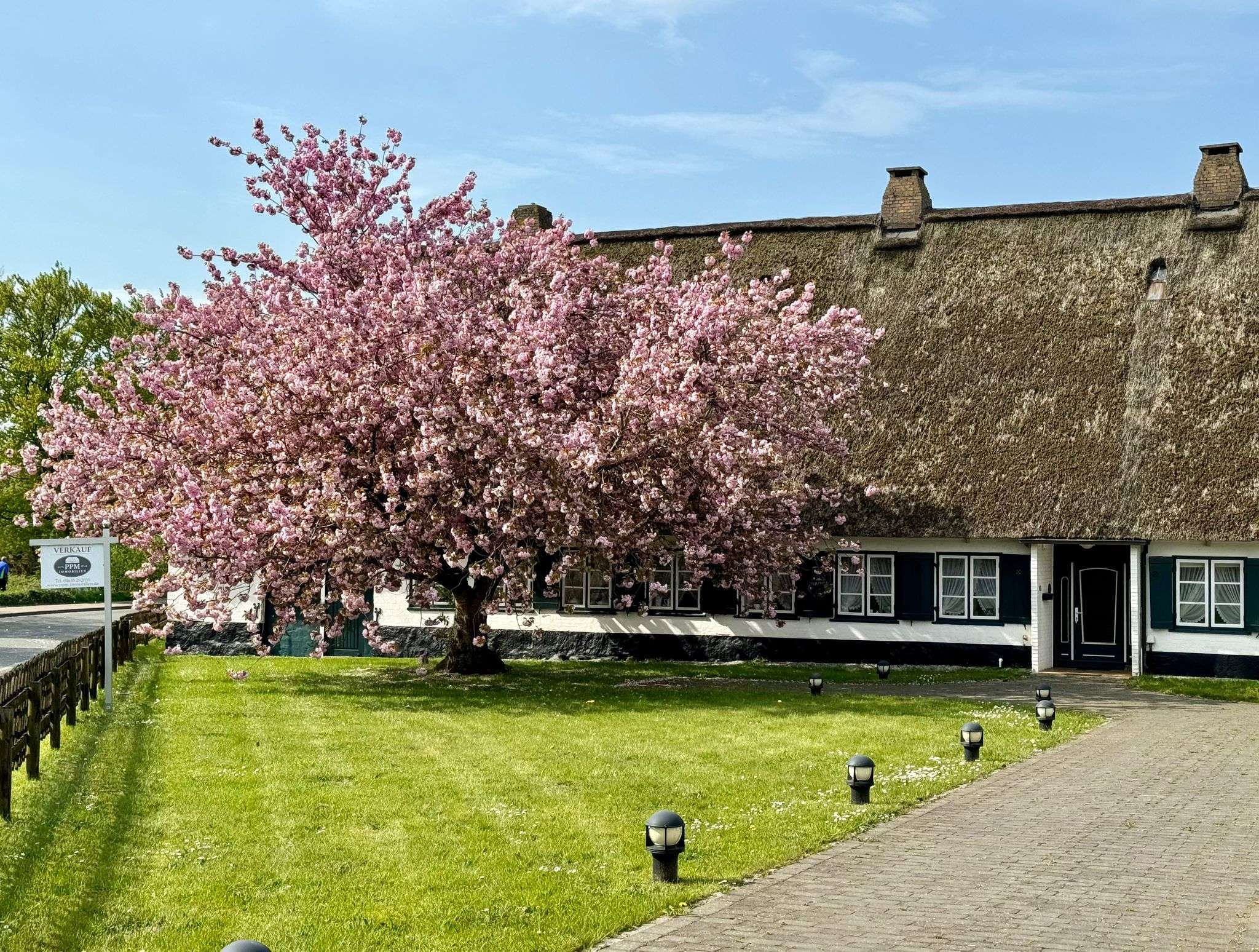 Historisches Reetdachanwesen in zentraler Lage mit optionaler Hauskoppel, Schleswig Flensburg Kreis – Bild 3