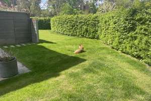 Property thumbnail 7