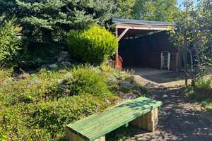 PREISREDUZIERUNG! Bungalow mit ELW und großem Garten in Bad Sobernheim zu verkaufen – Die vollständige Adresse der Immobilie erhältst du vom Anbieter., 55566 Bad Sobernheim – Vorschaubild 20