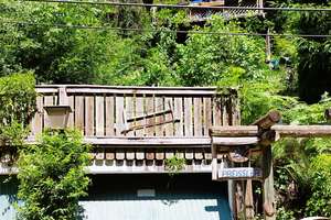 Erholung pur im Pfälzerwald! Idyllisches Wochenendhaus in Frankenstein (Pfalz) – Schliertal 22, 67468 Frankenstein – Vorschaubild 3
