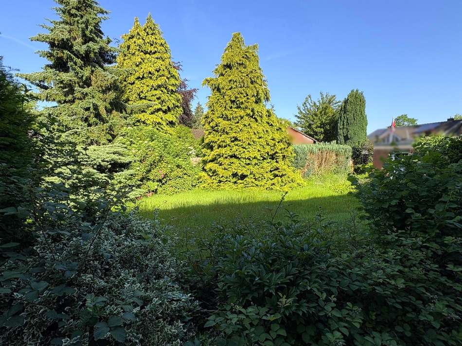 Garten Ansicht 3