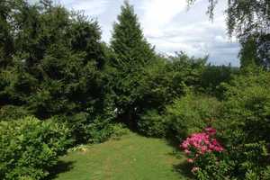 Freistehendes Einfamilienhaus direkt am Wald mit tollem Garten und Blick in Kelkheim-Fischbach! – Main-Taunus-Kreis – Vorschaubild 19