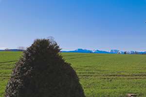 ***Weitblick bis in die Berge*** Doppelhaushälfte mit wunderschönen Garten und Sonnenterasse – Die vollständige Adresse der Immobilie erhältst du vom Anbieter., 83607 Holzkirchen – Vorschaubild 28