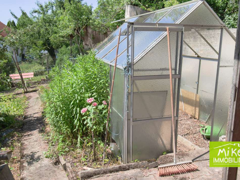 Garten mit Gewächshaus