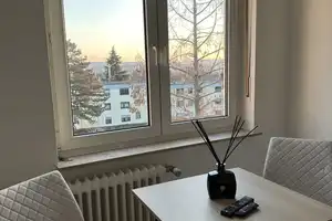 1-Zimmer-Wohnung zur Miete in Saarbrücken - Zentral am Rodenhof, möbliert – Leharstraße 28, 66113 Stadtverband Saarbrücken (Kreis) – Vorschaubild 6