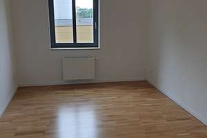 3 Zimmer Wohnung mit Balkon und EBK in der Altstadt – Virchowstraße 3e, 39104 Altstadt, Magdeburg – Vorschaubild 13