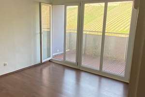 Helle 2-Zimmer-Wohnung in Rüdesheim: Ihr neues Zuhause mit Balkon – Niederwaldstraße 54, 65385 Rüdesheim am Rhein – Vorschaubild 8