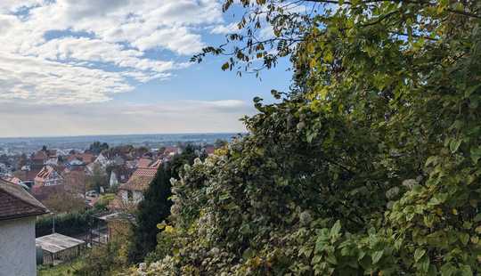 Bild von Über den Dächern von Bensheim-Auerbach