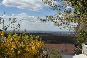 + Wohnen mit Weitblick in bester Hanglage... Maisonettewohnung mit herrlichem Garten! + – Die vollständige Adresse der Immobilie erhältst du vom Anbieter., 64297 Eberstadt, Darmstadt – Vorschaubild 2