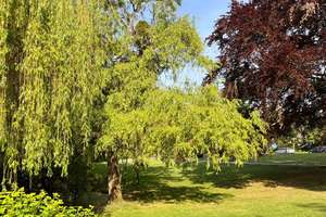 Property thumbnail 21