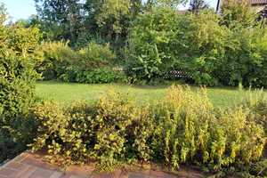 Großes EFH mit ELW und schönem Garten – Amberg-Sulzbach (Kreis) – Vorschaubild 16