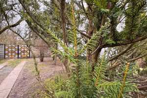 Grüne Oase mit eigenem Park  – Oberhavel (Kreis) – Vorschaubild 11