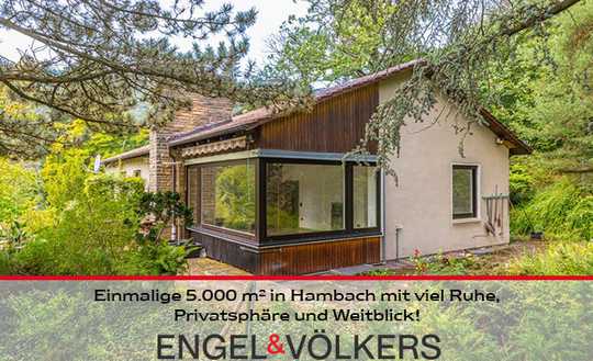Einmalige 5.000 m² in Hambach mit viel Ruhe, Privatsphäre und Weitblick!