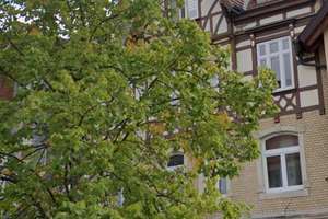 LIEBHABER IMMOBILIE- KAPITALANLAGE IM ZENTRUM - SANIERTE VOLLVERMIETUNG – Die vollständige Adresse der Immobilie erhältst du vom Anbieter., 98574 Schmalkalden – Vorschaubild 7