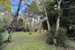 Halle-Innenstadt: Originale Villa zum Sanieren, für 1 bis 3 Familien, großes Park-Naturgrundst – Ratswerder 8, 6110 Südliche Innenstadt, Halle (Saale) – Vorschaubild 11