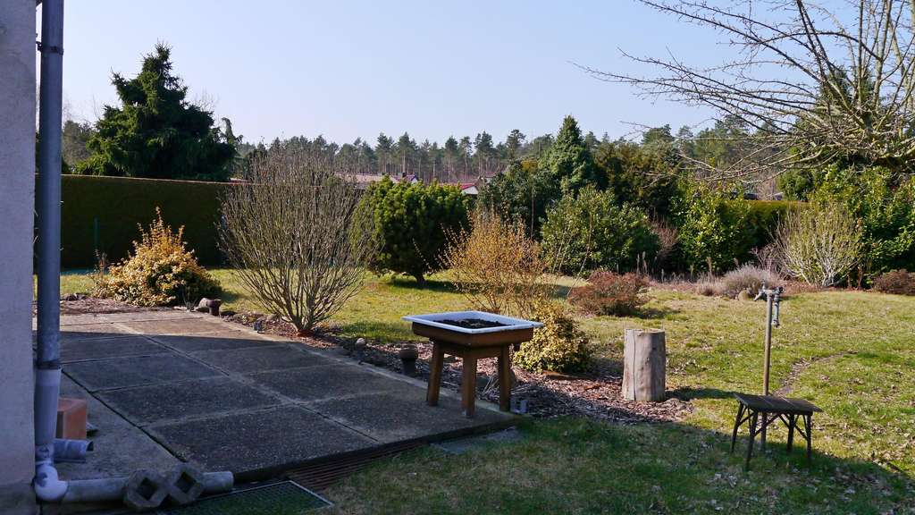 Immobilie in Kolkwitz - Einziehen und Wohlfühlen - Bild 2