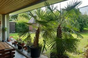 Bungalow mit Prachtgarten – Die vollständige Adresse der Immobilie erhältst du vom Anbieter., 76228 Palmbach, Karlsruhe – Vorschaubild 2
