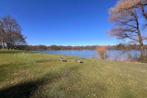 Property thumbnail 22