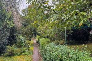 Ein- bis Zweifamilienhaus in bester Lage am Leutewitzer Park – Die vollständige Adresse der Immobilie erhältst du vom Anbieter., 1157 Briesnitz, Dresden – Vorschaubild 5