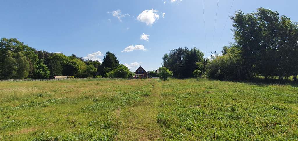 Immobilie in Dömitz - Neuwertiges EFH mit Wärmepumpe, Carport, 2 Bädern, EBK und eigenes Grünland - Bild 4