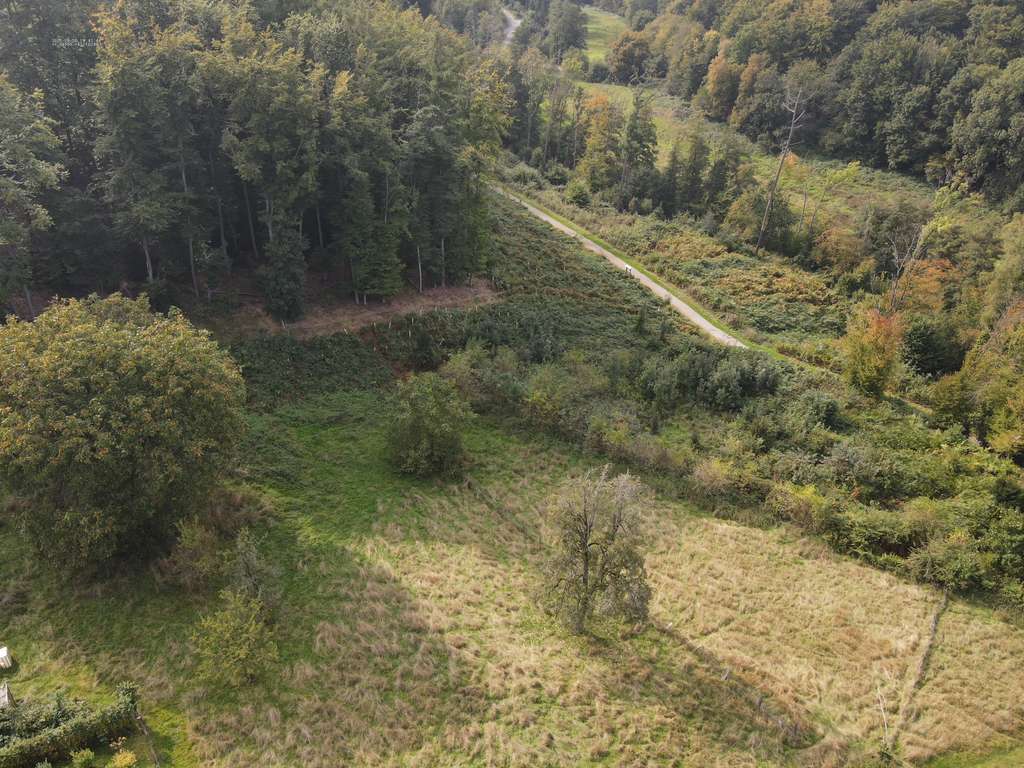 Immobilie in Leichlingen - Fachwerkhaus mit Halle auf riesigem Grundstück. Ideal für Tierhaltung und Gewerbe - Bild 4