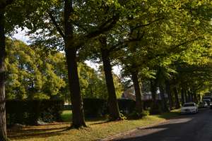 Property thumbnail 18